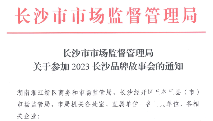 MG视讯应邀参与2023长沙品牌故事会(图1)